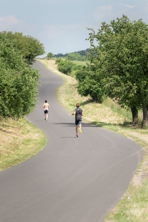 Král středohoří 2018